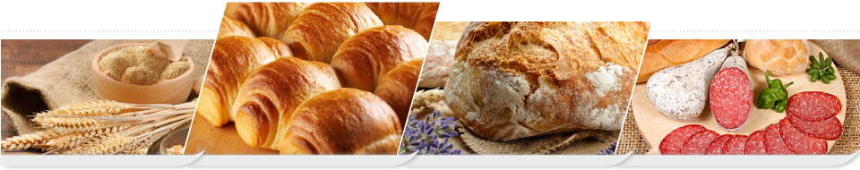 productos de panificacion